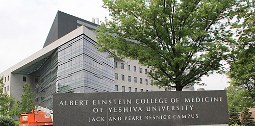 Einstein Deal Helps Yeshiva University, Though Not Without Problems Einstein Deal Helps Yeshiva University, Though Not Without Problems